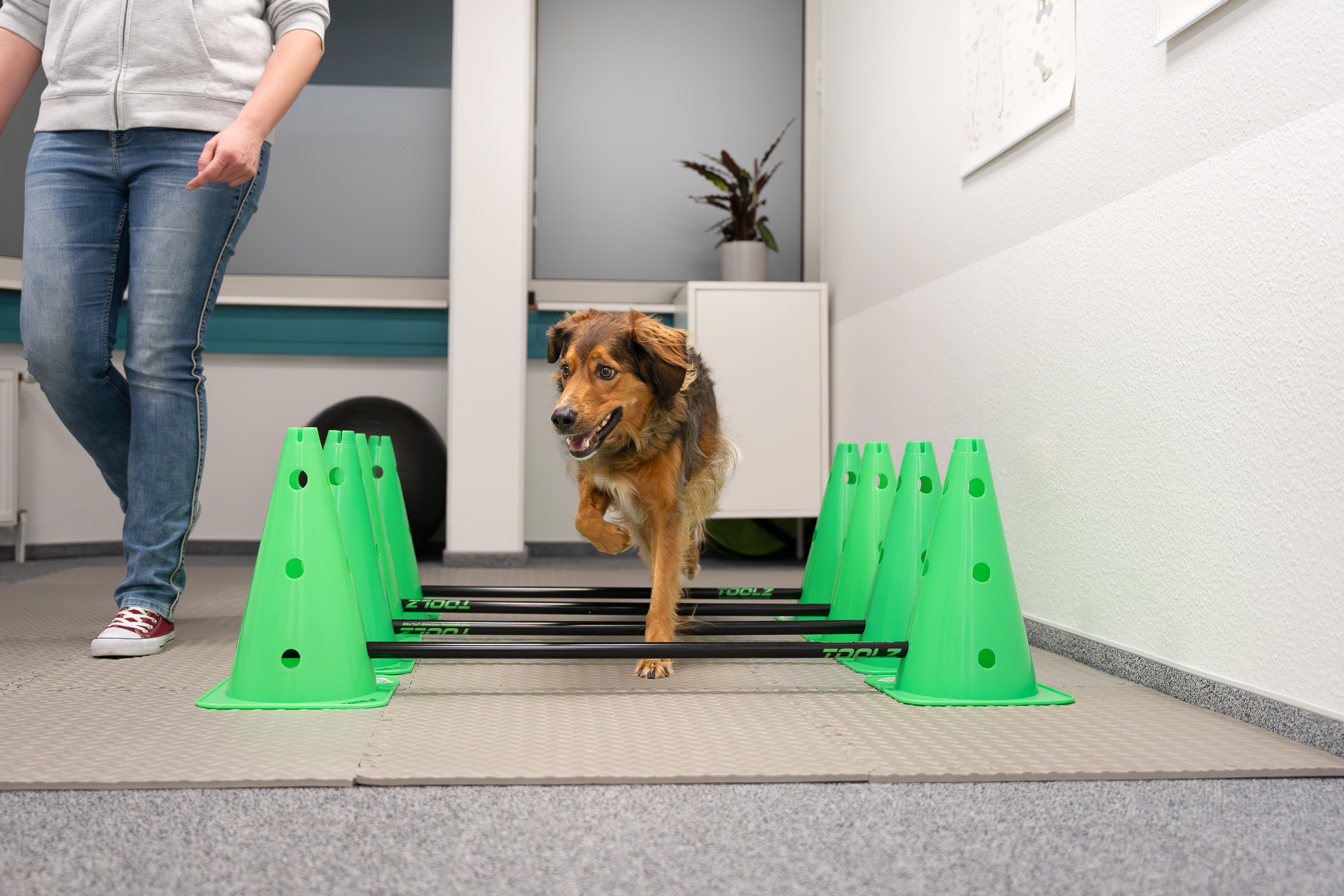 Therapie in den Praxisräumen von TeamBruno in Rheine-Mesum